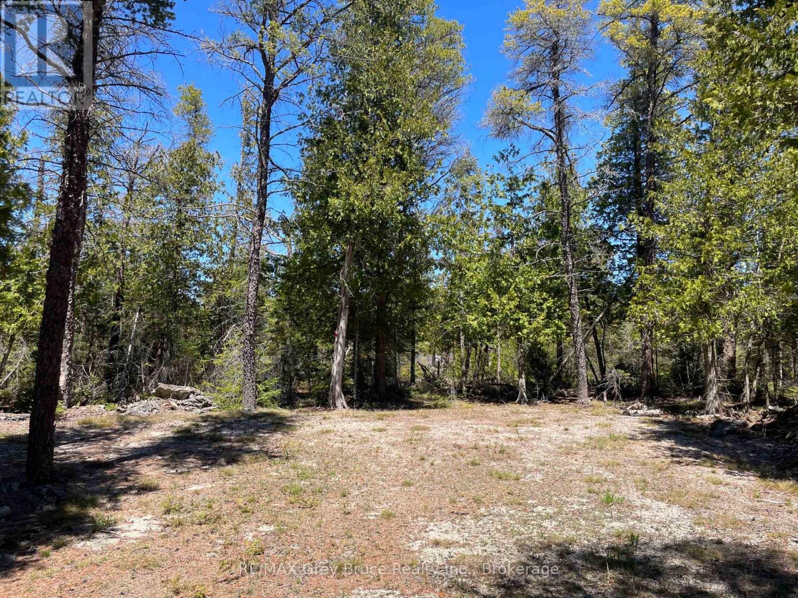 1035 Dorcas Bay Road, Northern Bruce Peninsula, Ontario  N0H 2R0 - Photo 14 - X13159512