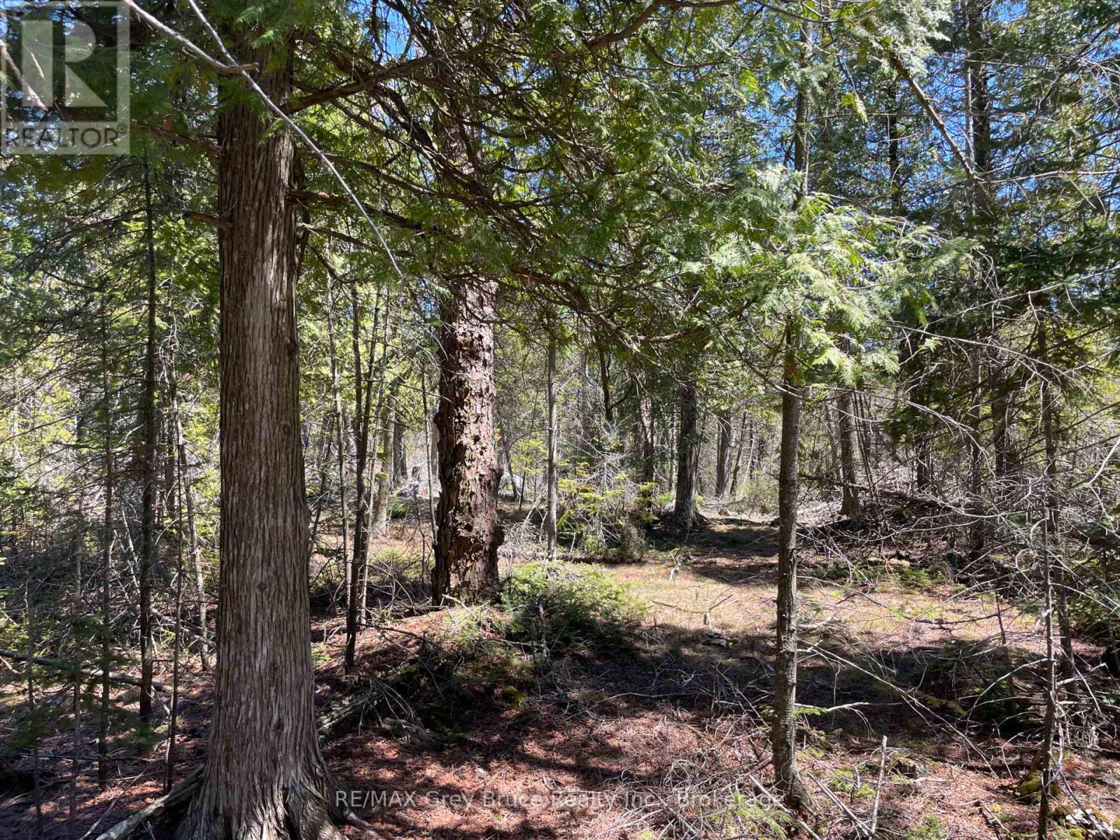 1035 Dorcas Bay Road, Northern Bruce Peninsula, Ontario  N0H 2R0 - Photo 16 - X13159512