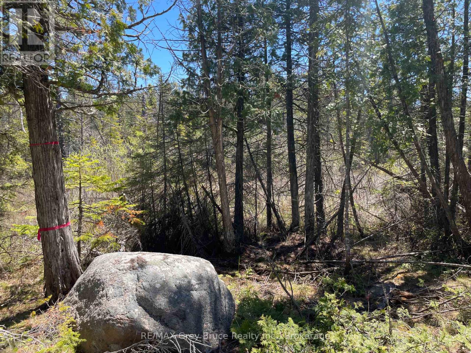 1035 Dorcas Bay Road, Northern Bruce Peninsula, Ontario  N0H 2R0 - Photo 17 - X13159512