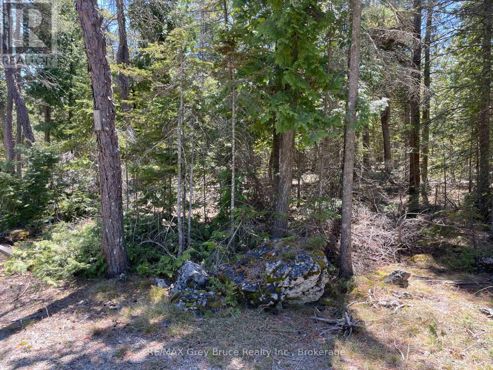 1035 Dorcas Bay Road, Northern Bruce Peninsula, Ontario  N0H 2R0 - Photo 7 - X13159512