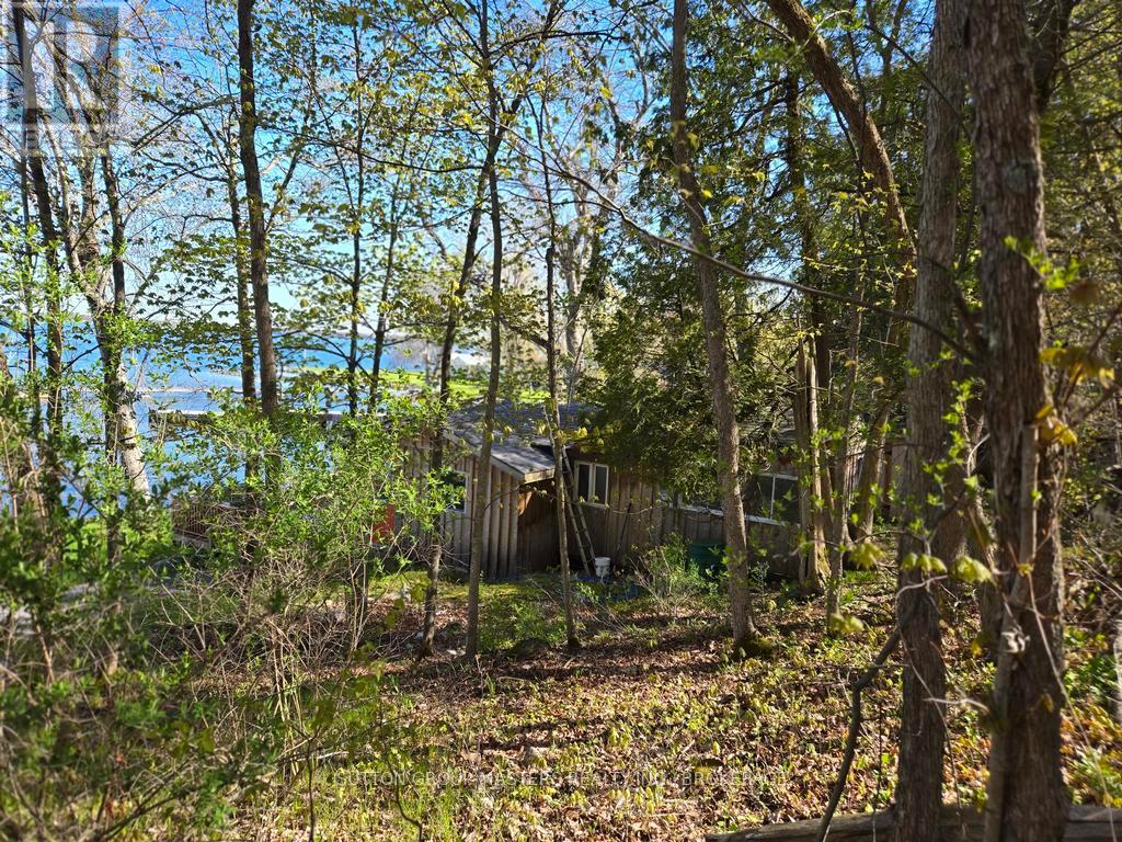 46 Alarie Lane, Frontenac Islands, Ontario  K0H 2Y0 - Photo 13 - X13159526