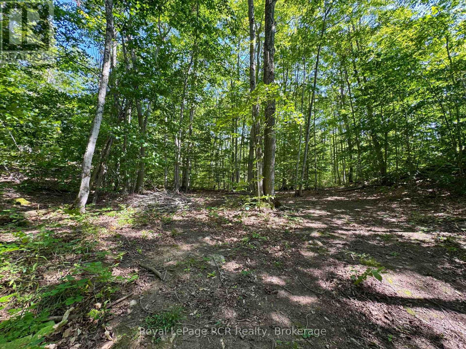 Pt Lt 6 Bruce Road 9 Road, Northern Bruce Peninsula, Ontario  N0H 1W0 - Photo 11 - X13159634