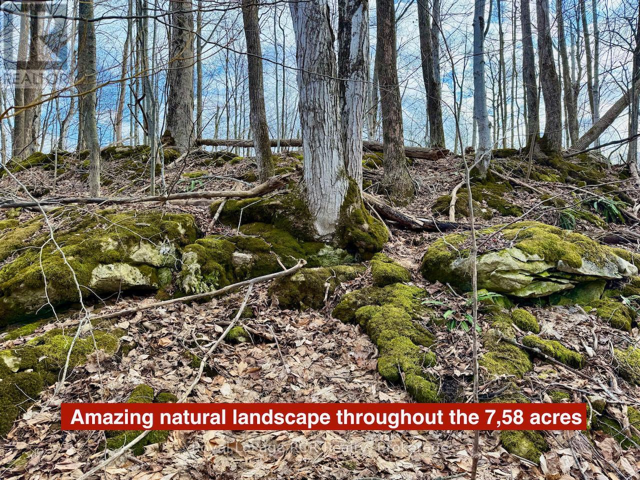 Pt Lt 6 Bruce Road 9 Road, Northern Bruce Peninsula, Ontario  N0H 1W0 - Photo 14 - X13159634