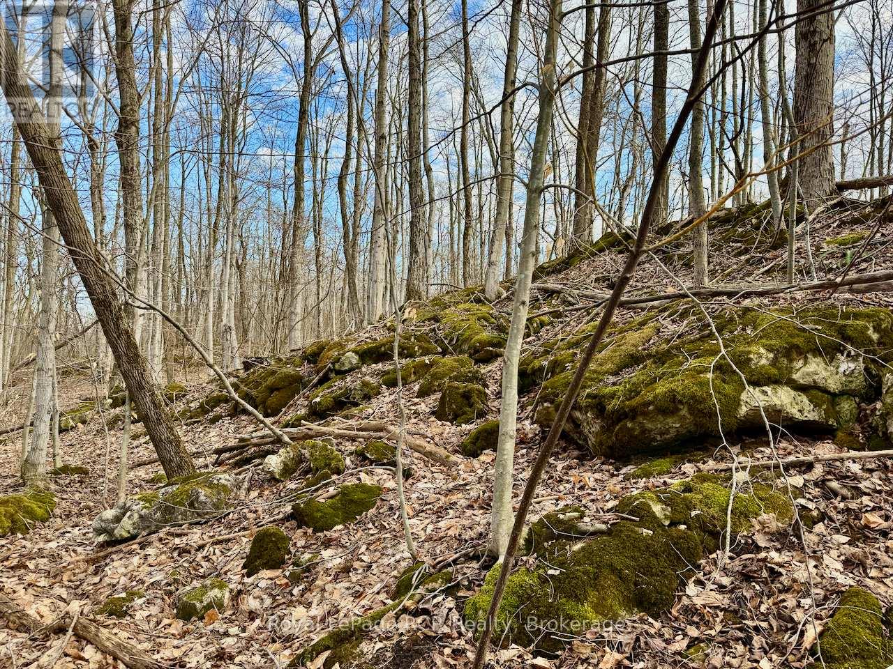 Pt Lt 6 Bruce Road 9 Road, Northern Bruce Peninsula, Ontario  N0H 1W0 - Photo 17 - X13159634