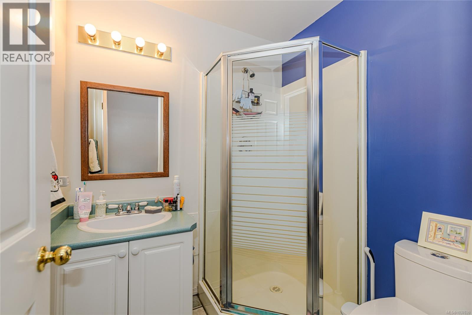842 Princess Ave, Victoria, British Columbia  V8T 1K7 - Photo 28 - 1037639
