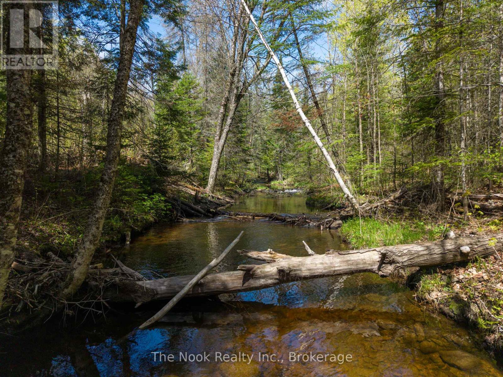 0 Highway 62 N Highway, Hastings Highlands, Ontario  K0L 1C0 - Photo 11 - X13159782