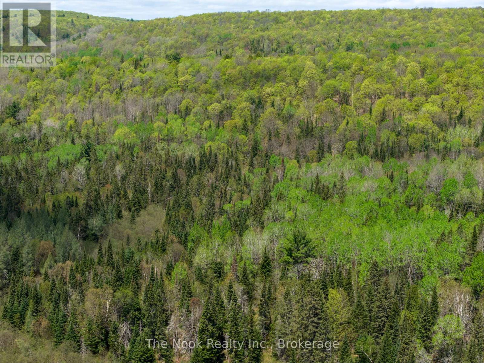 0 Highway 62 N Highway, Hastings Highlands, Ontario  K0L 1C0 - Photo 26 - X13159782