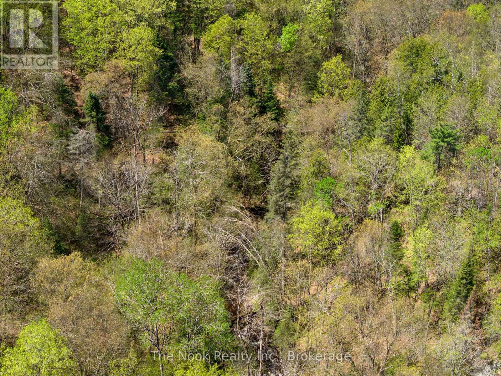 0 Highway 62 N Highway, Hastings Highlands, Ontario  K0L 1C0 - Photo 8 - X13159782