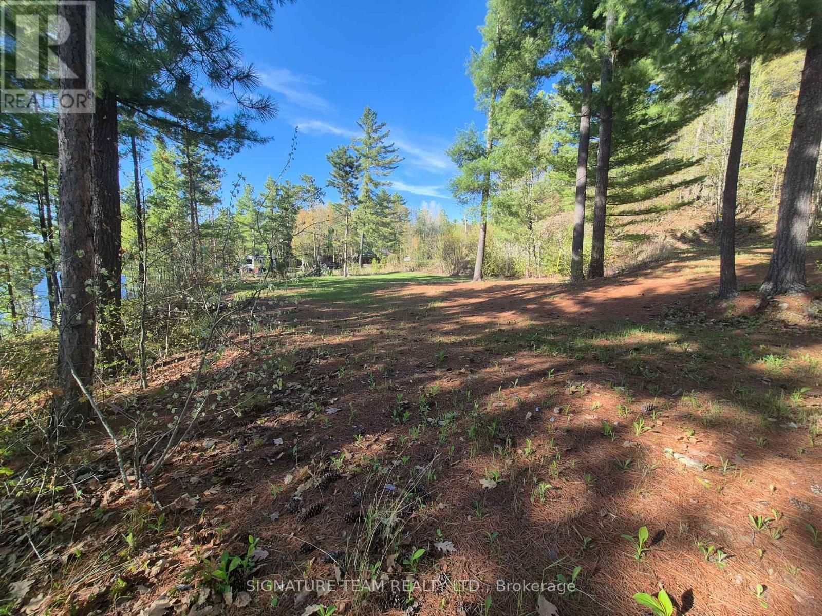 0 Red Rock Road, Killaloe, Ontario  K0J 2A0 - Photo 15 - X13159850