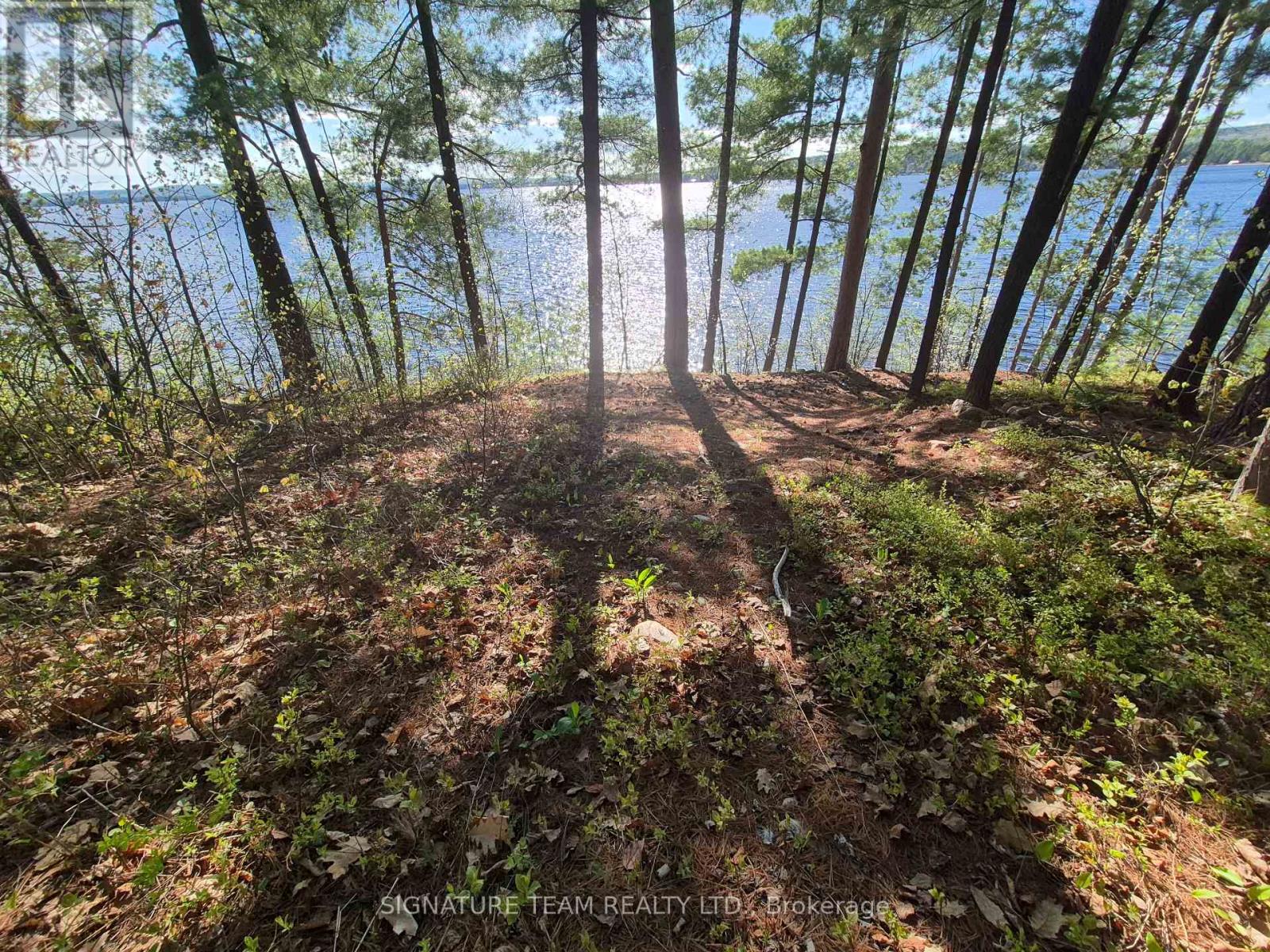0 Red Rock Road, Killaloe, Ontario  K0J 2A0 - Photo 17 - X13159850