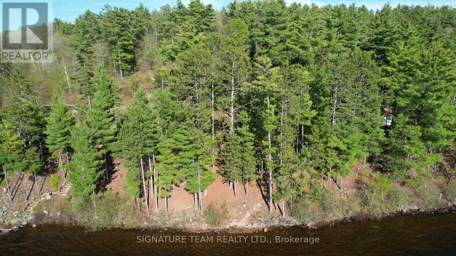 0 Red Rock Road, Killaloe, Ontario  K0J 2A0 - Photo 4 - X13159850