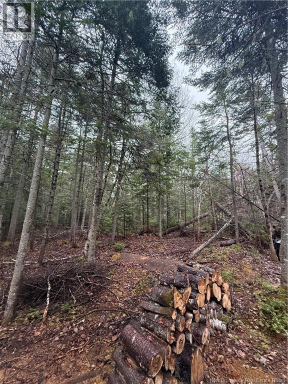 Lot 98-2 Dundas Road, Grande-Digue, New Brunswick  E4R 4L5 - Photo 6 - NB139207