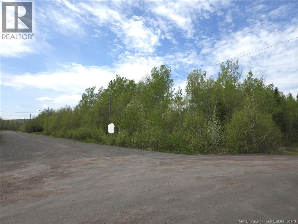 36 Lucas Street, Irishtown, New Brunswick  E1H 0E4 - Photo 3 - NB140079