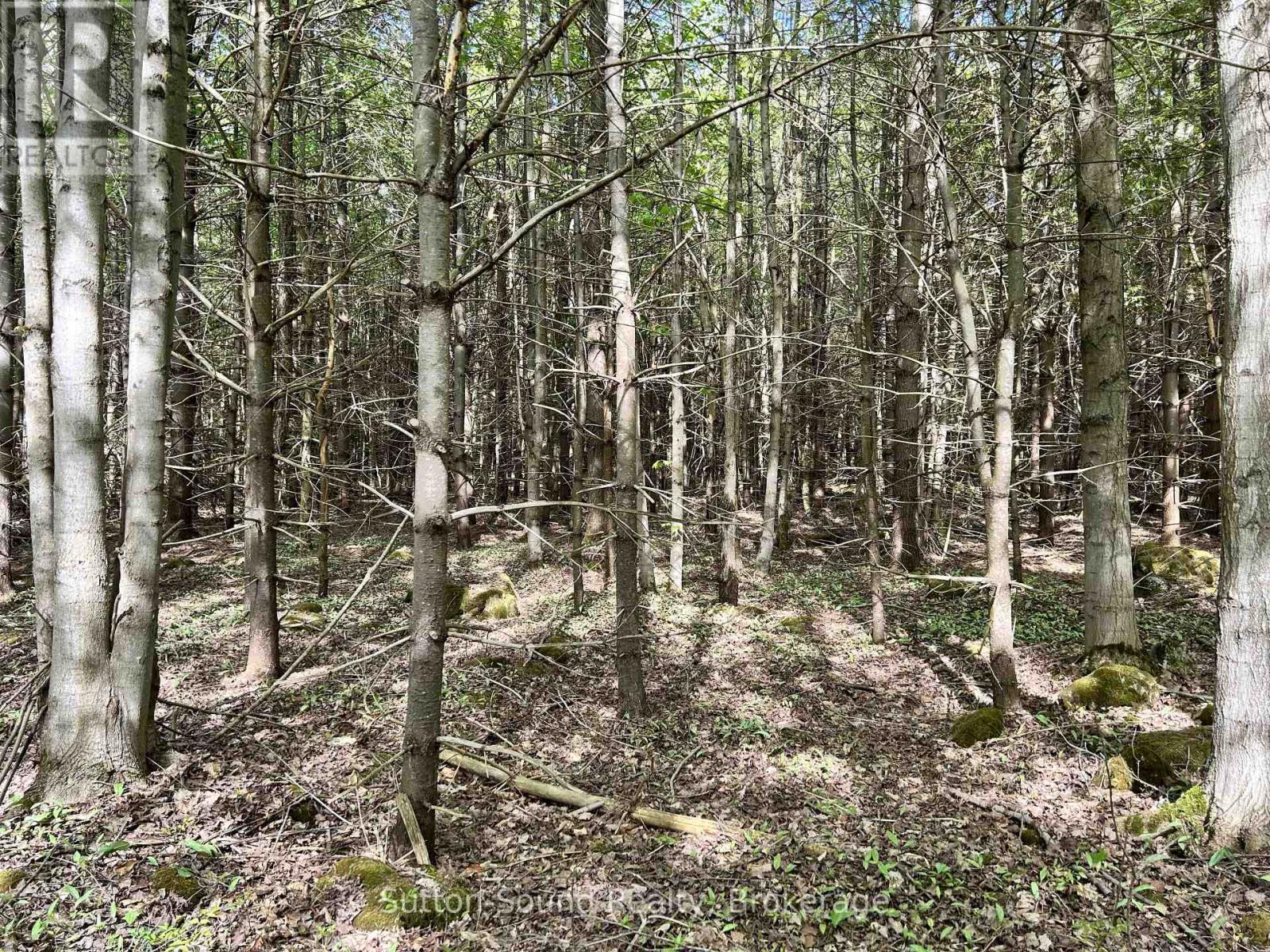 Lot 24 Concession 14 Keppel Concession, Georgian Bluffs, Ontario  N0H 2K0 - Photo 11 - X13159882