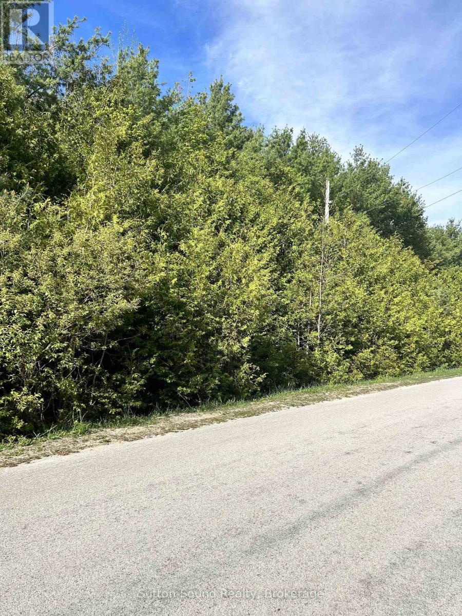 Lot 24 Concession 14 Keppel Concession, Georgian Bluffs, Ontario  N0H 2K0 - Photo 2 - X13159882