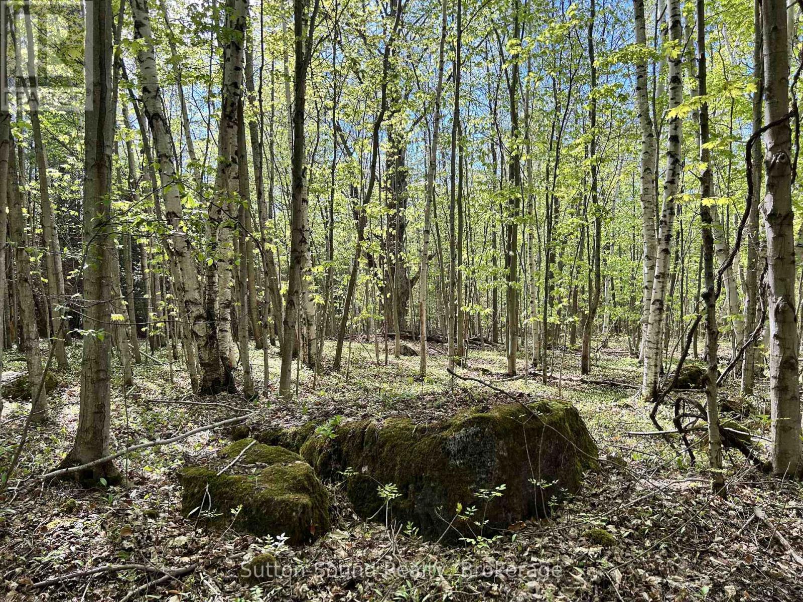 Lot 24 Concession 14 Keppel Concession, Georgian Bluffs, Ontario  N0H 2K0 - Photo 3 - X13159882
