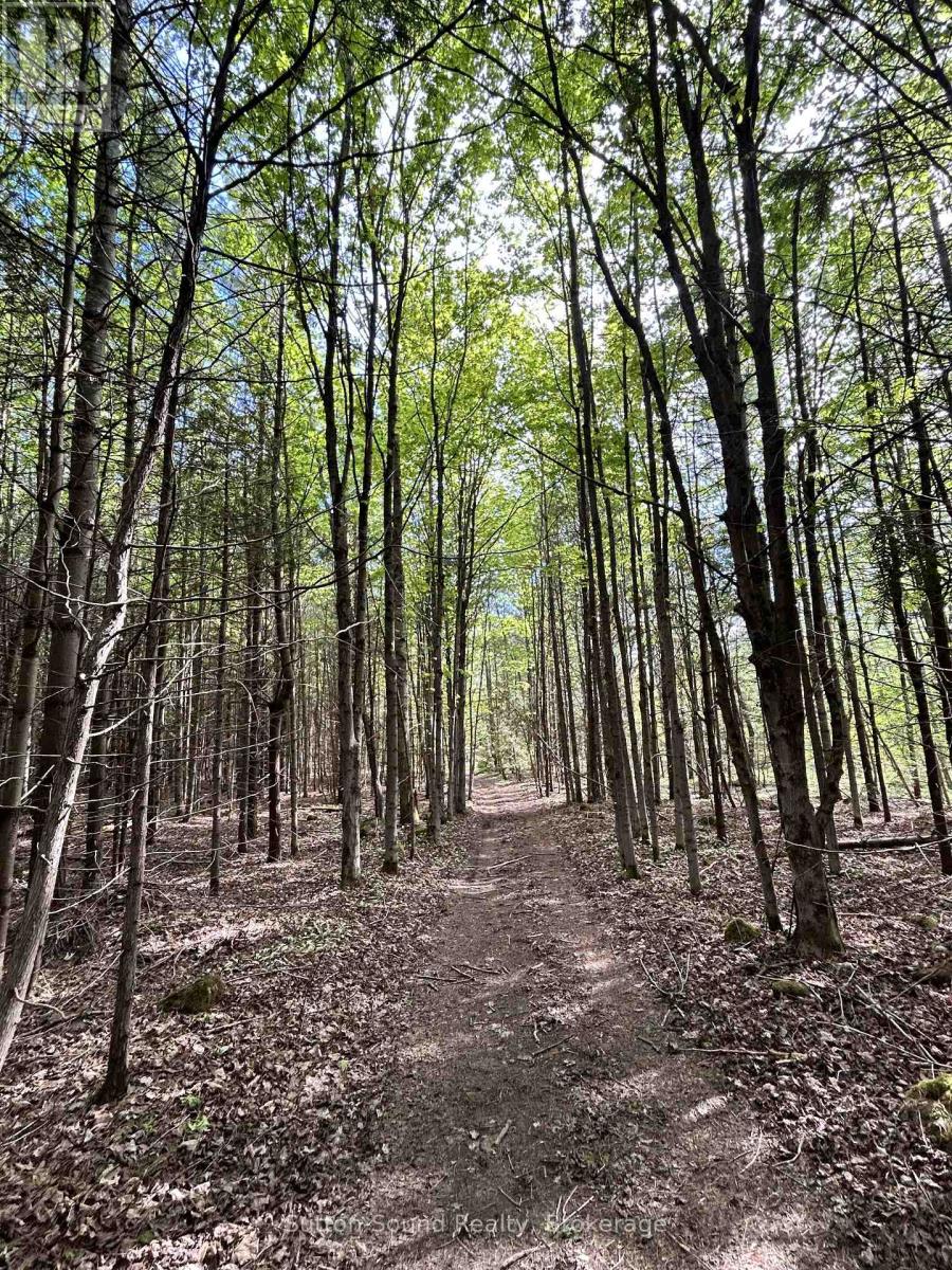 Lot 24 Concession 14 Keppel Concession, Georgian Bluffs, Ontario  N0H 2K0 - Photo 5 - X13159882