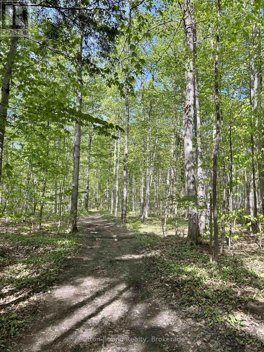 Lot 24 Concession 14 Keppel Concession, Georgian Bluffs, Ontario  N0H 2K0 - Photo 8 - X13159882