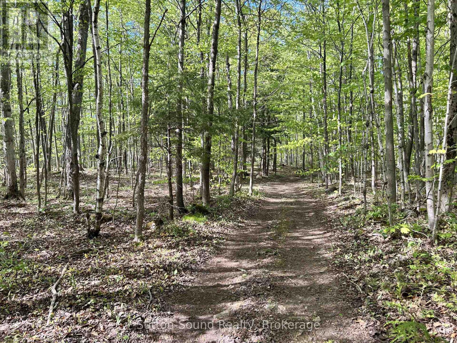 Lot 24 Concession 14 Keppel Concession, Georgian Bluffs, Ontario  N0H 2K0 - Photo 9 - X13159882