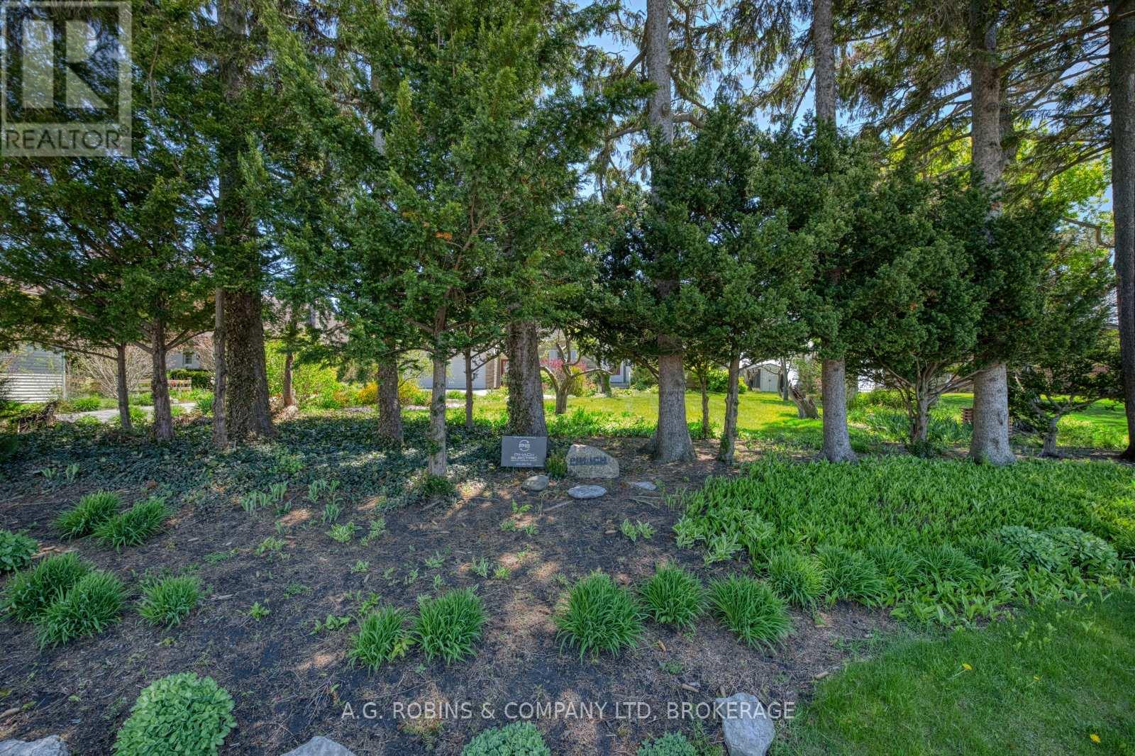 10773 Lakeshore Road, Wainfleet, Ontario  L0S 1V0 - Photo 5 - X12707878