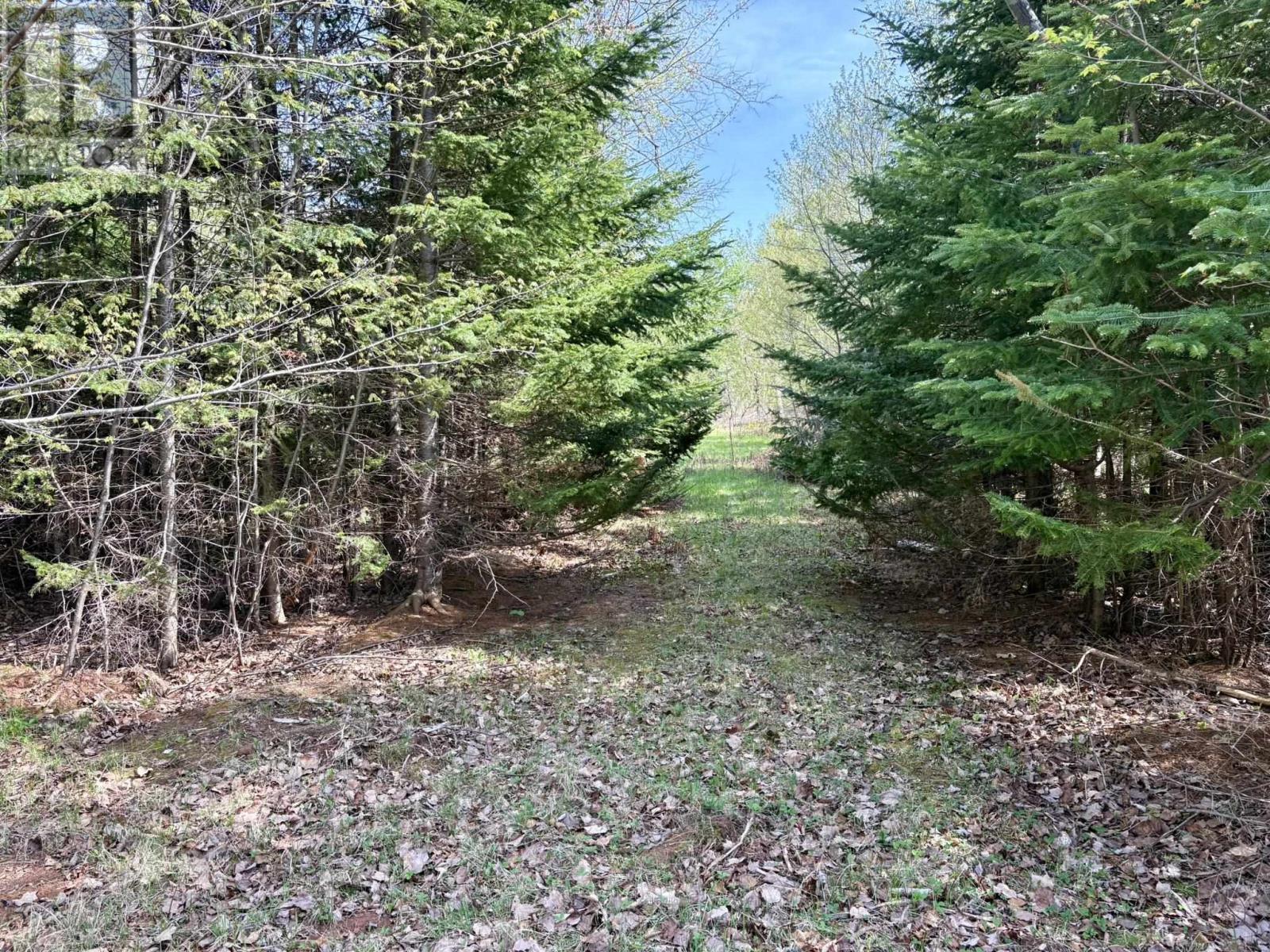 Lot 18 Eagles View Lane, Malpeque, Prince Edward Island  C0B 1M0 - Photo 25 - 202611771