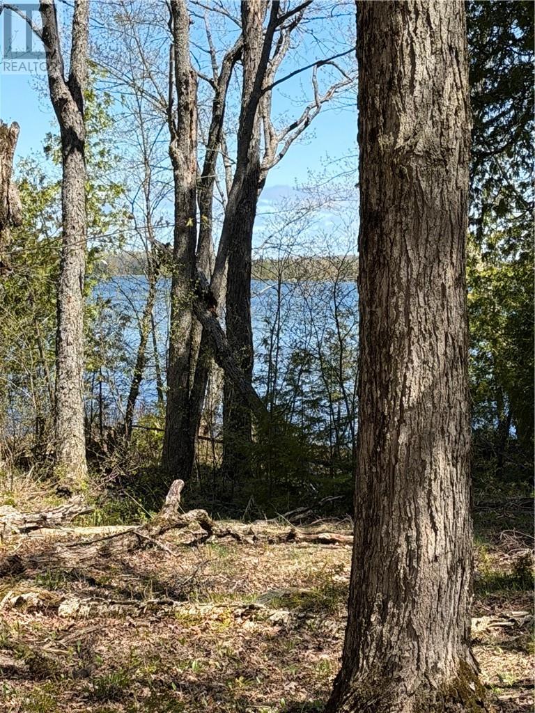974 Ice Lake Drive, Gore Bay, Ontario P0P 1H0 - Photo 6 - 2127916