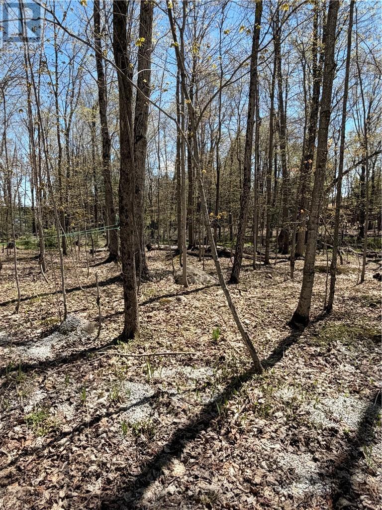 974 Ice Lake Drive, Gore Bay, Ontario P0P 1H0 - Photo 7 - 2127916
