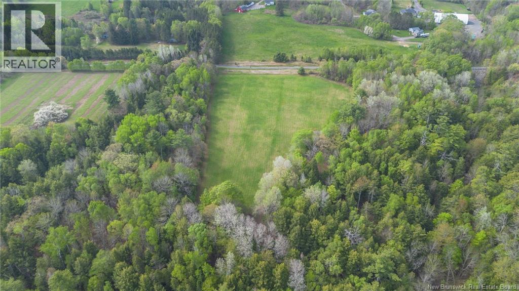 3175a Woodstock Road, Fredericton, New Brunswick  E3C 1R2 - Photo 4 - NB140023
