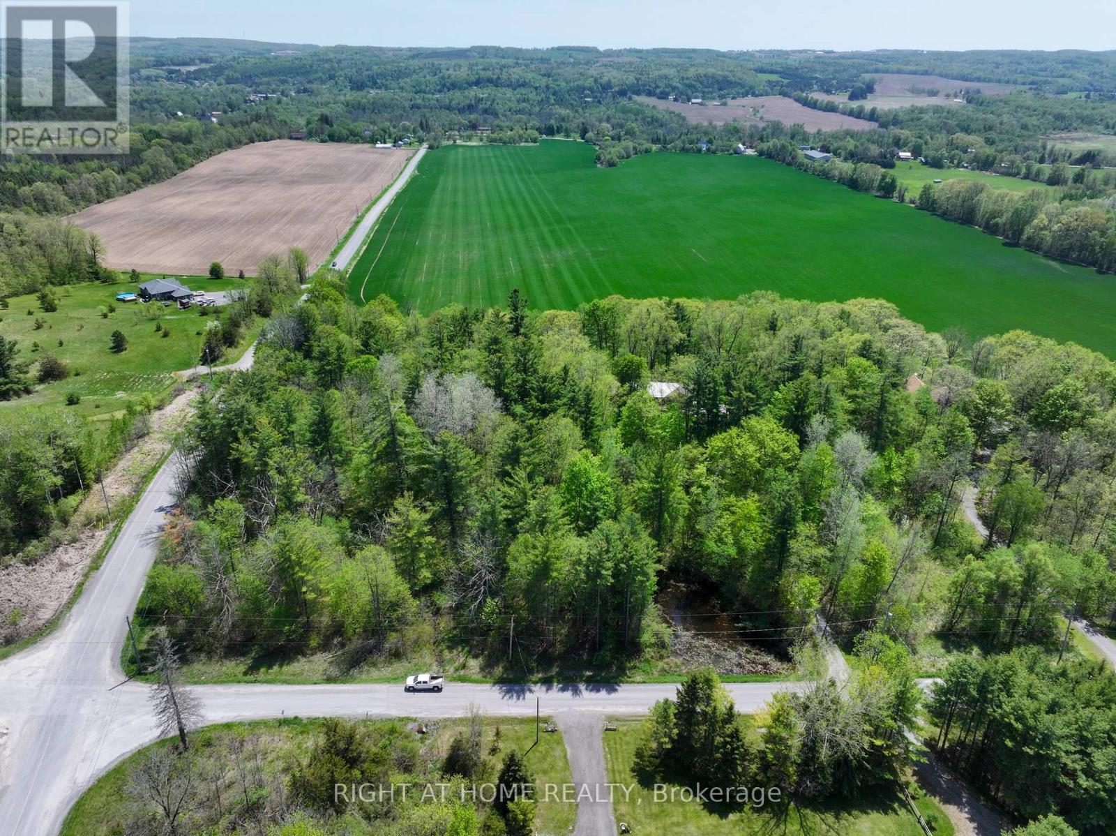 919 Jamieson Road, Quinte West, Ontario  K0K 3M0 - Photo 38 - X13159996