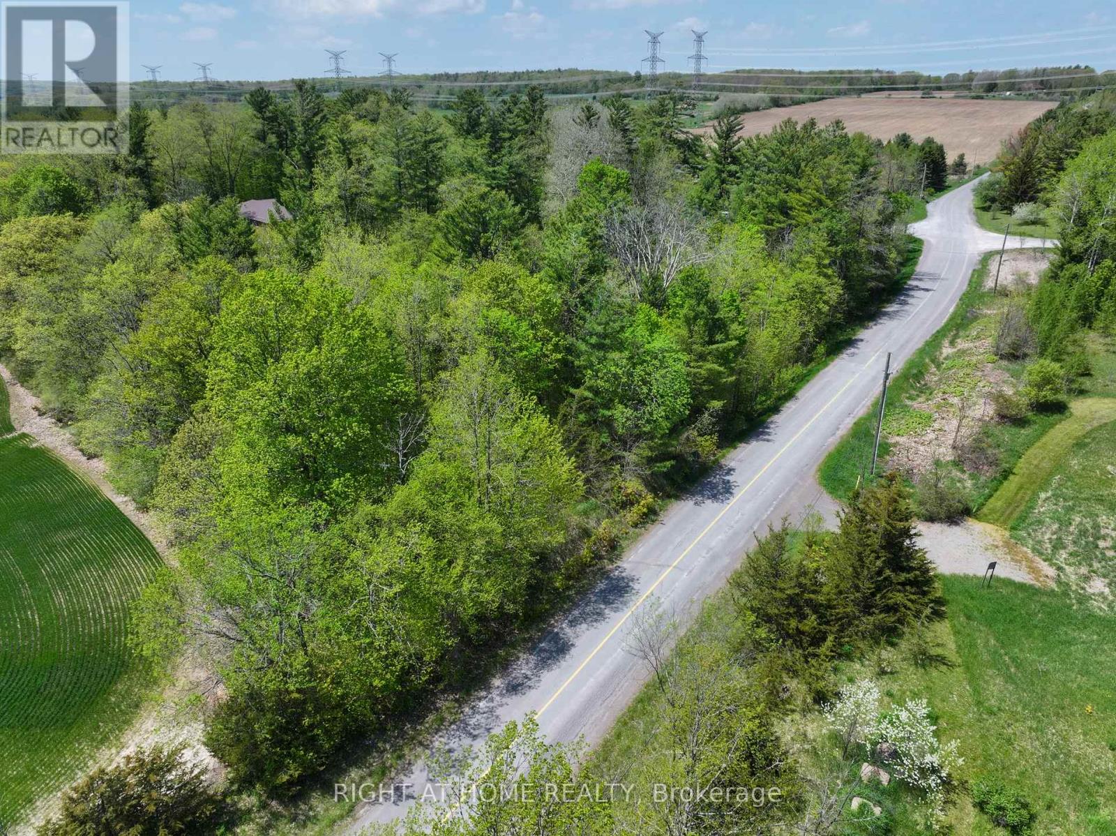 919 Jamieson Road, Quinte West, Ontario  K0K 3M0 - Photo 44 - X13159996