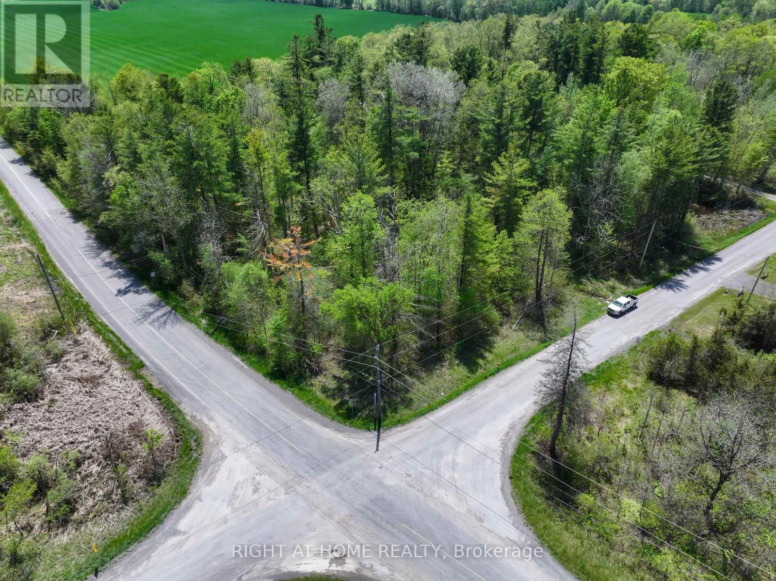 919 Jamieson Road, Quinte West, Ontario  K0K 3M0 - Photo 45 - X13159996