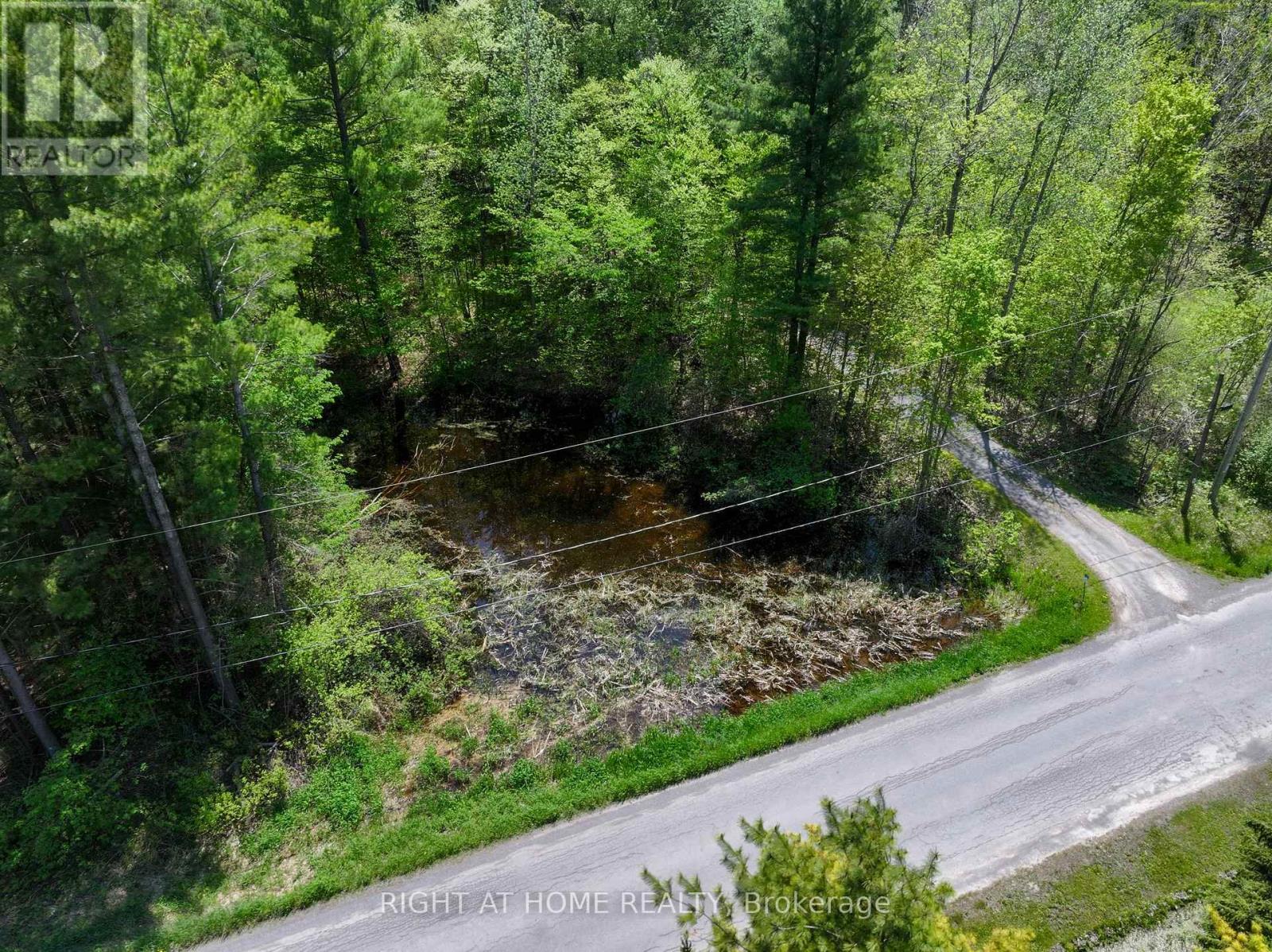 919 Jamieson Road, Quinte West, Ontario  K0K 3M0 - Photo 46 - X13159996