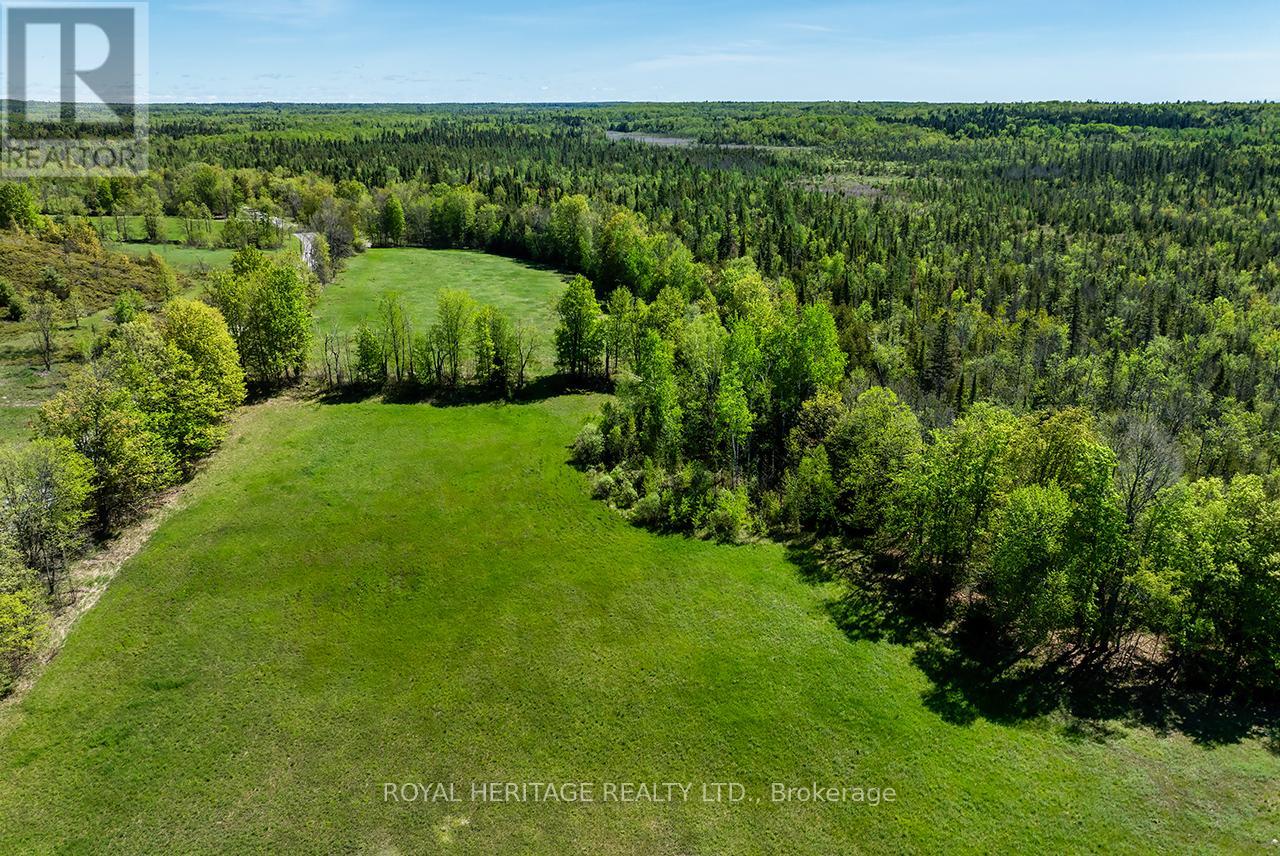 538 Spry Road, Stirling-Rawdon, Ontario  K0K 2M0 - Photo 10 - X13155834