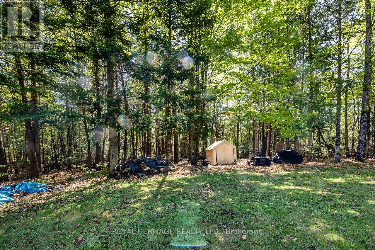 538 Spry Road, Stirling-Rawdon, Ontario  K0K 2M0 - Photo 38 - X13155834