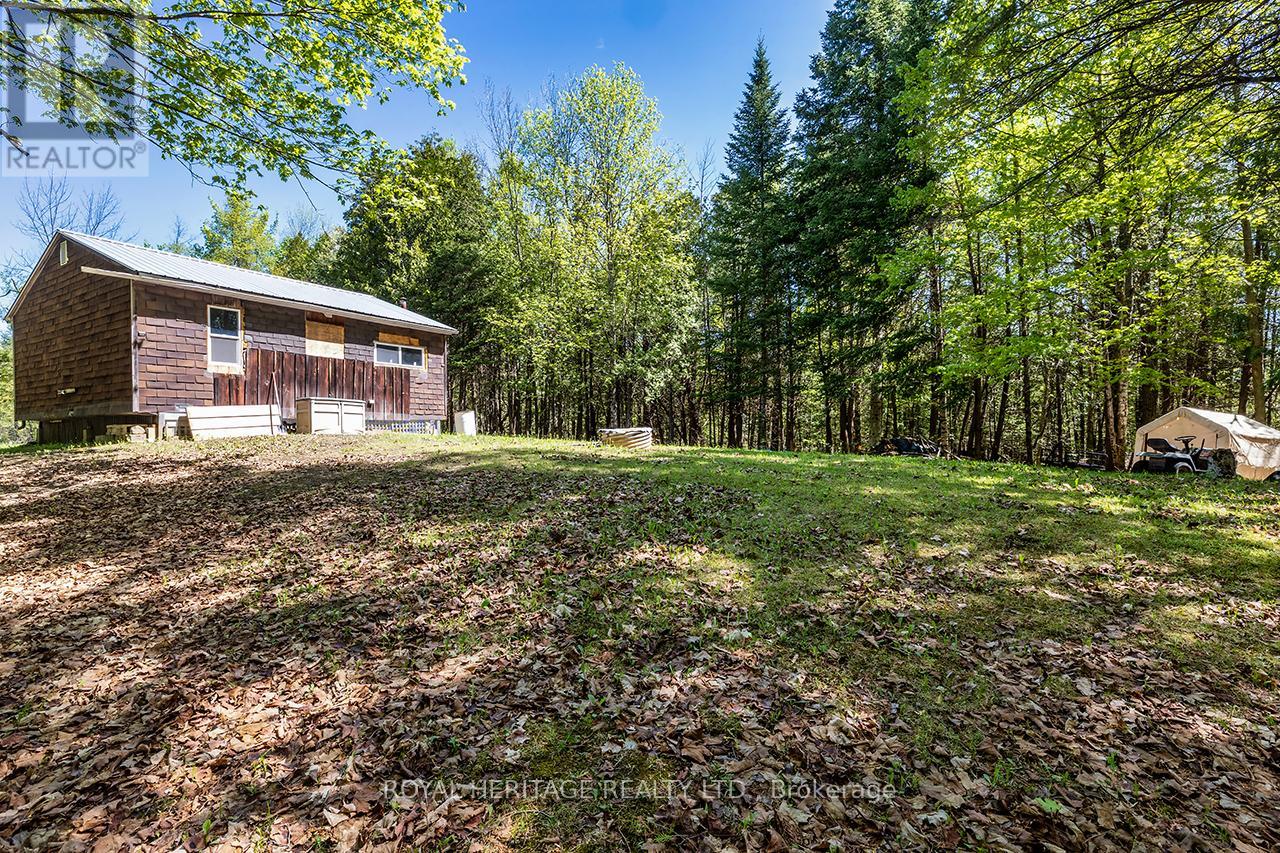 538 Spry Road, Stirling-Rawdon, Ontario  K0K 2M0 - Photo 41 - X13155834