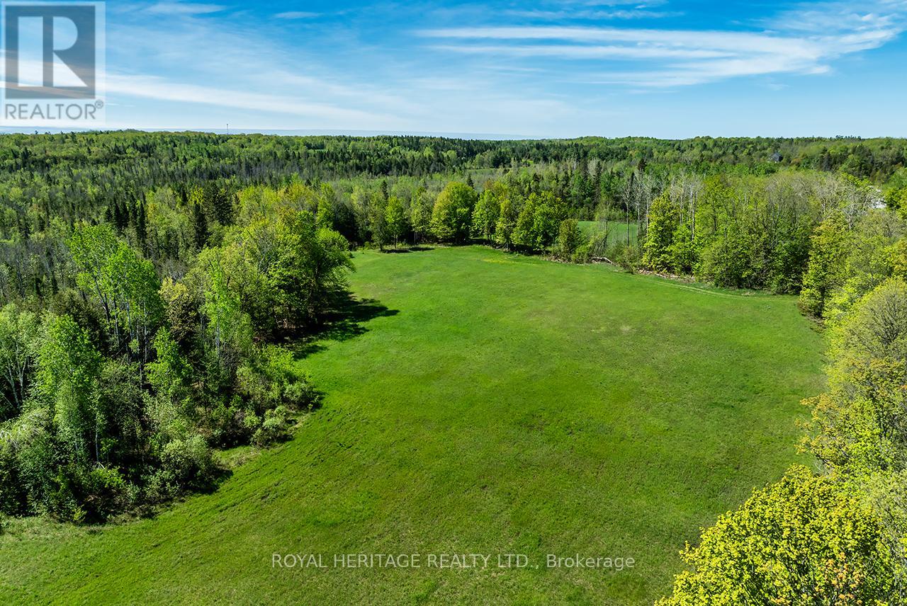 538 Spry Road, Stirling-Rawdon, Ontario  K0K 2M0 - Photo 47 - X13155834