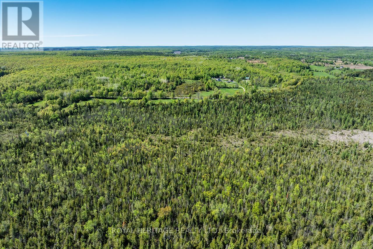 538 Spry Road, Stirling-Rawdon, Ontario  K0K 2M0 - Photo 6 - X13155834