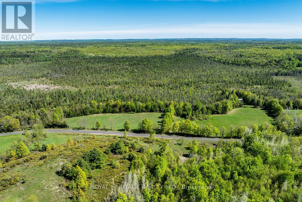 538 Spry Road, Stirling-Rawdon, Ontario  K0K 2M0 - Photo 3 - X13155834