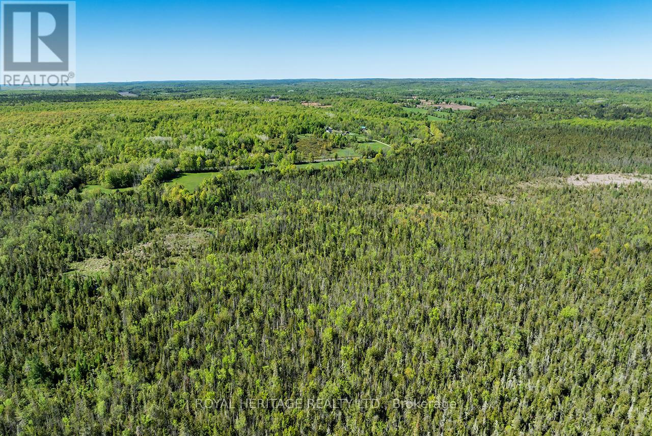 538 Spry Road, Stirling-Rawdon, Ontario  K0K 2M0 - Photo 7 - X13155834