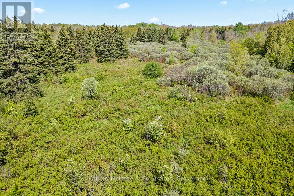 8446 Line 12, Wellington North, Ontario  N0G 1N0 - Photo 20 - X13159934