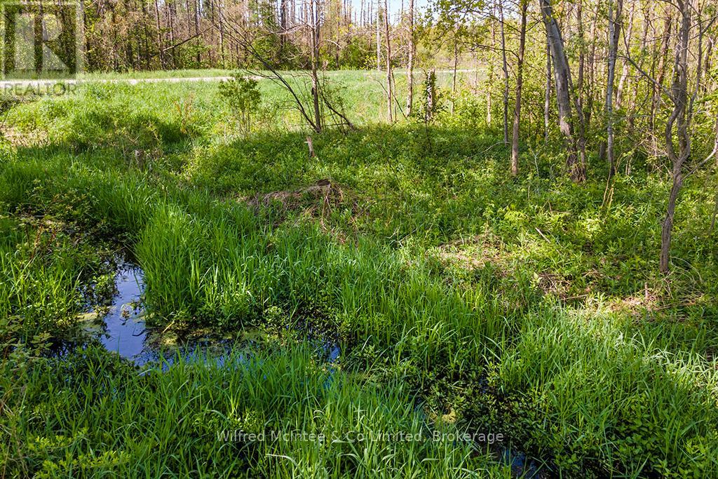 8446 Line 12, Wellington North, Ontario  N0G 1N0 - Photo 22 - X13159934