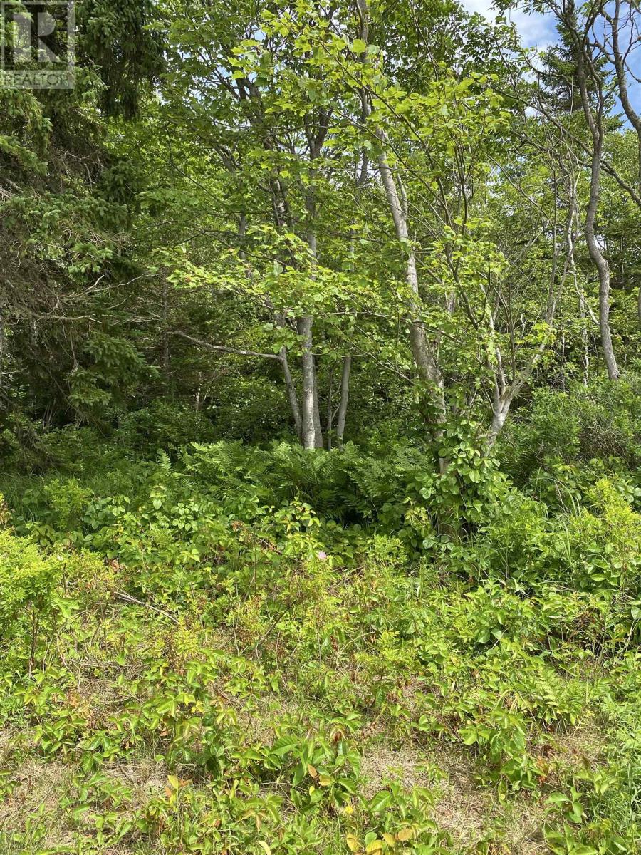 Lot Maclean Road, Milo, Prince Edward Island  C0B 1V0 - Photo 2 - 202611777
