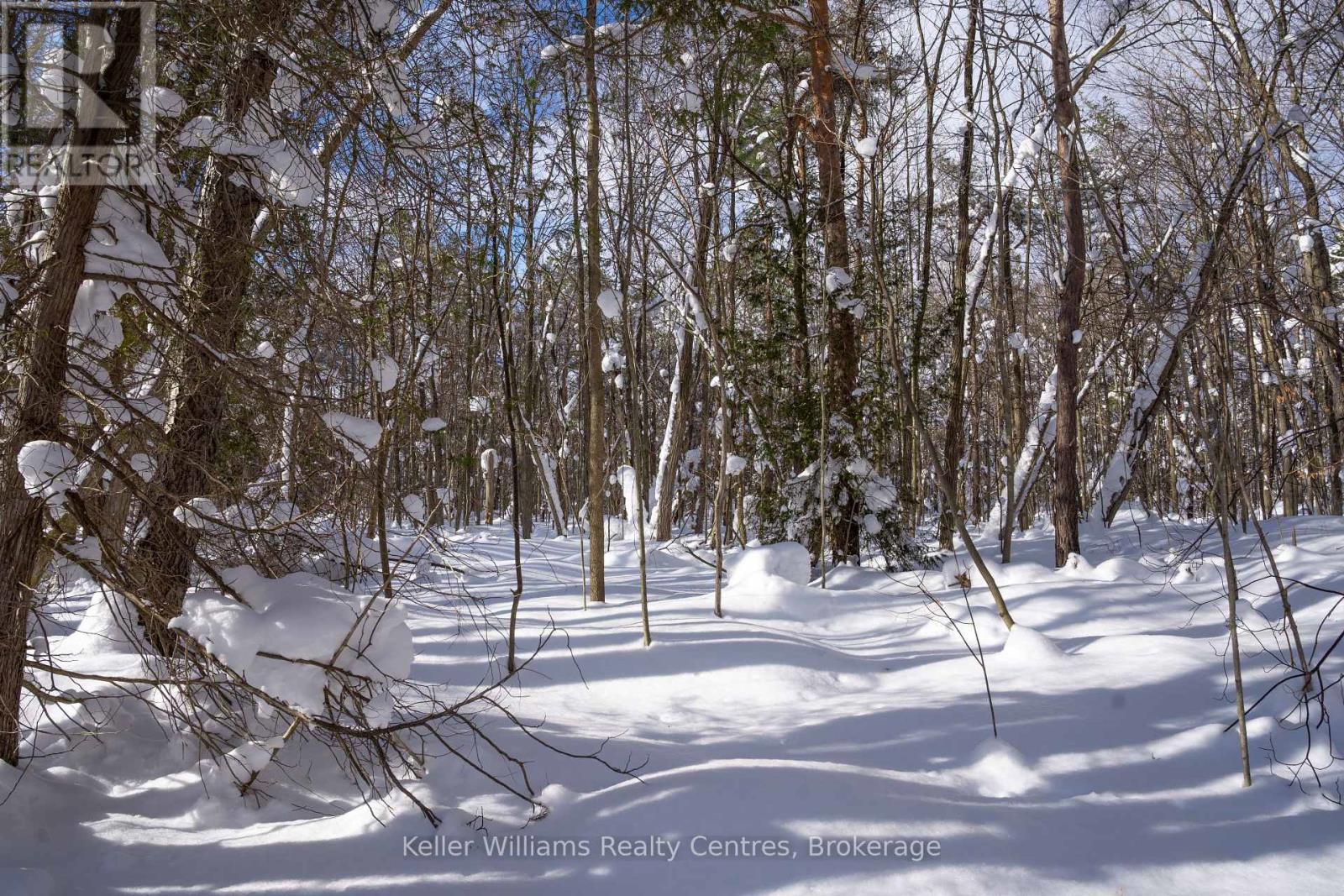 Lot 16 Grey Road 17, Georgian Bluffs, Ontario  N0H 2T0 - Photo 25 - X12763134