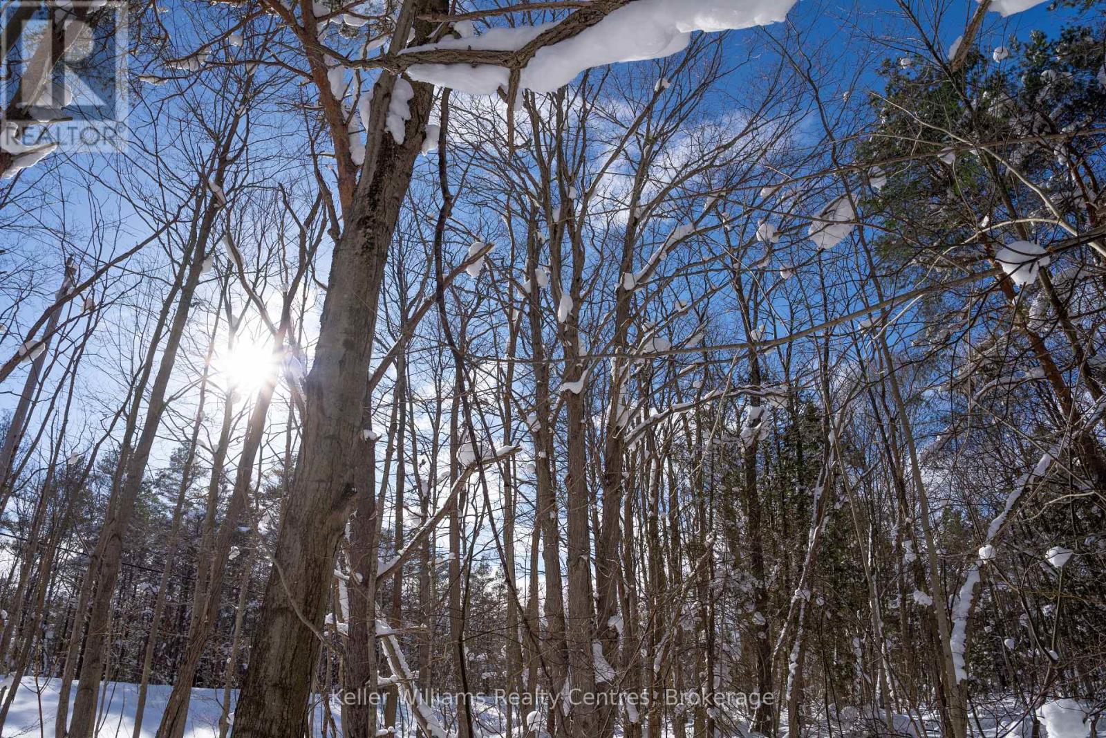 Lot 16 Grey Road 17, Georgian Bluffs, Ontario  N0H 2T0 - Photo 23 - X12763134