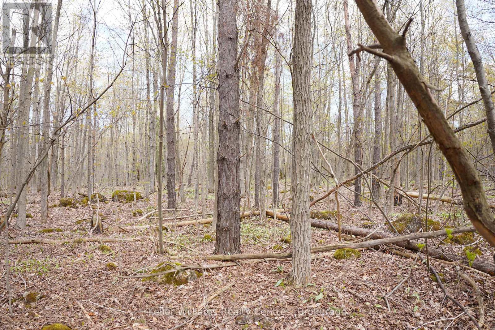 Lot 16 Grey Road 17, Georgian Bluffs, Ontario  N0H 2T0 - Photo 6 - X12763134
