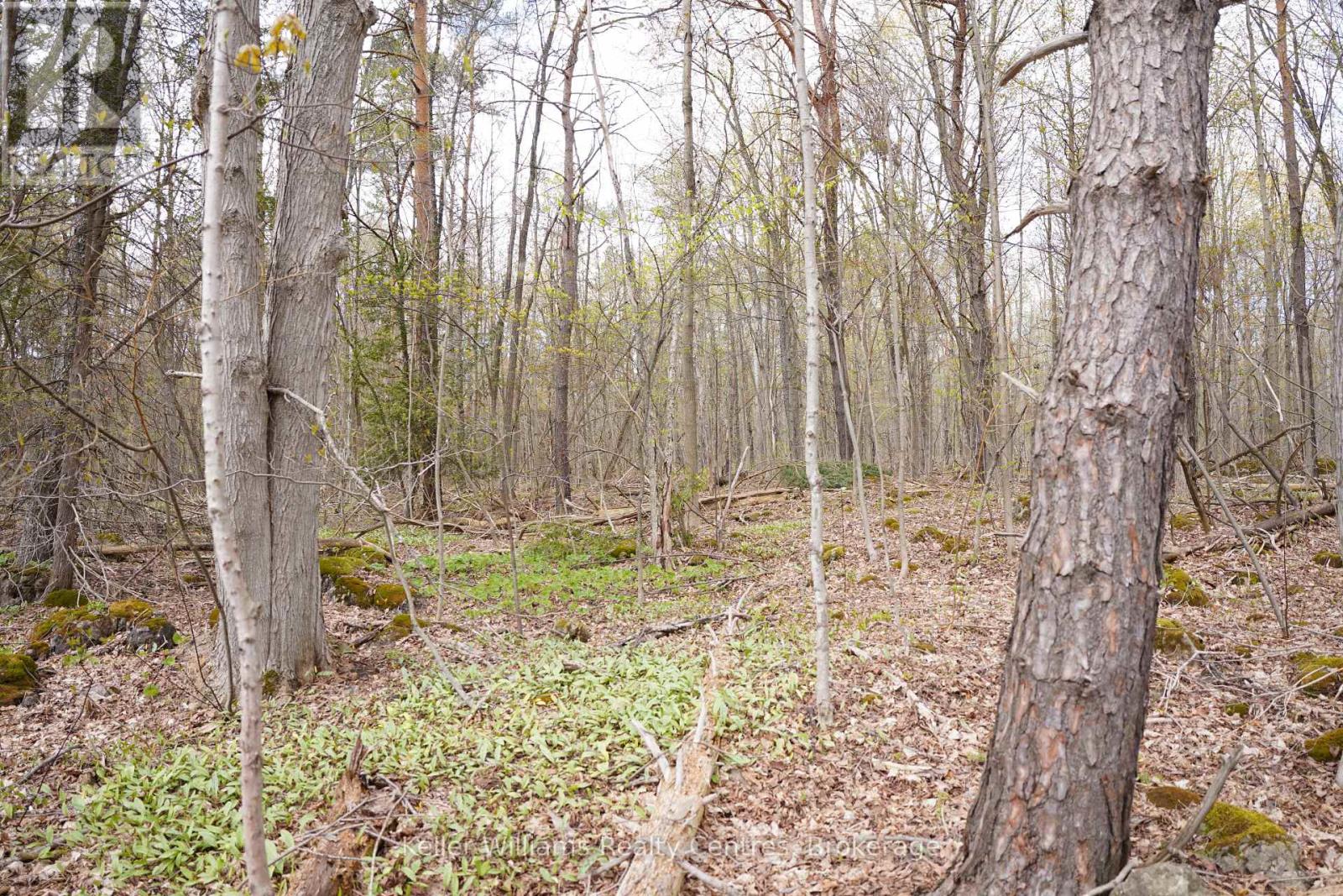 Lot 16 Grey Road 17, Georgian Bluffs, Ontario  N0H 2T0 - Photo 8 - X12763134