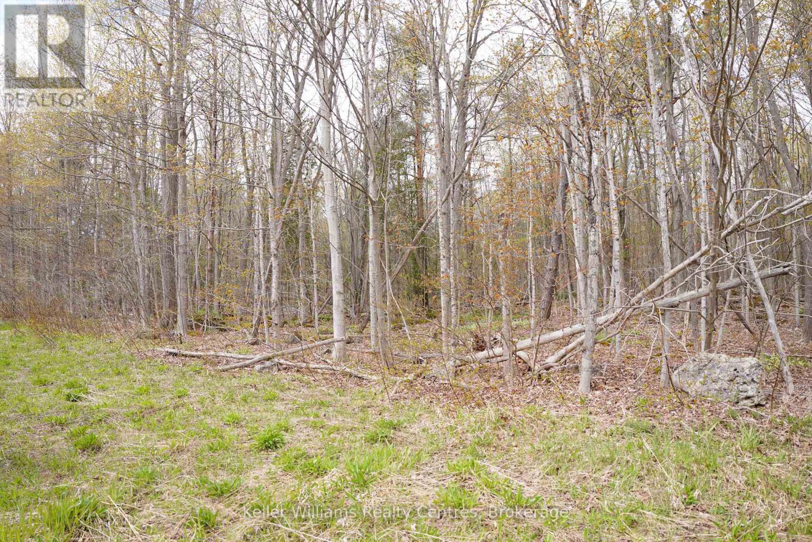 Lot 16 Grey Road 17, Georgian Bluffs, Ontario  N0H 2T0 - Photo 10 - X12763134
