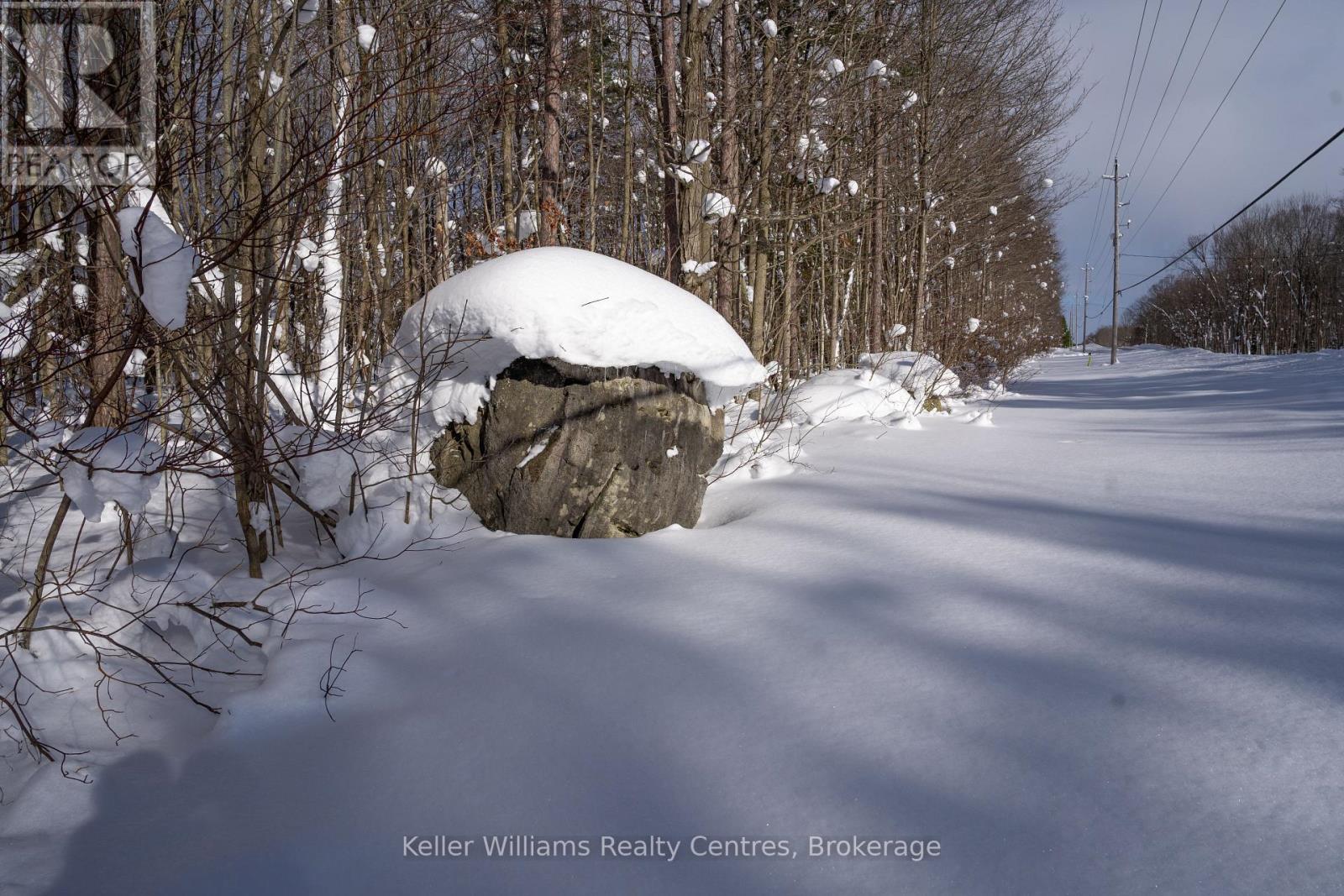 Lot 16 Grey Road 17, Georgian Bluffs, Ontario  N0H 2T0 - Photo 21 - X12763134