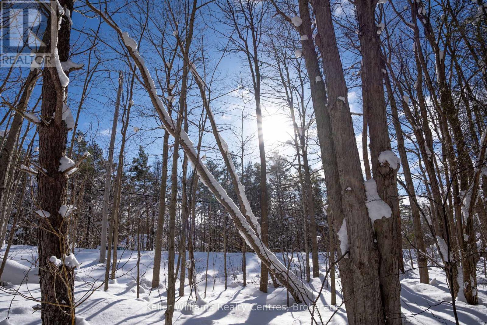 Lot 16 Grey Road 17, Georgian Bluffs, Ontario  N0H 2T0 - Photo 20 - X12763134