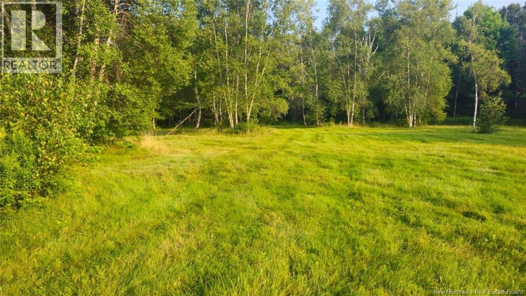 Land Route 630, St Croix, New Brunswick  E6J 1Y5 - Photo 3 - NB140090